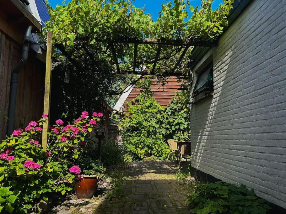 Onder De Kastanje! Villa Koedijk Eksteriør billede